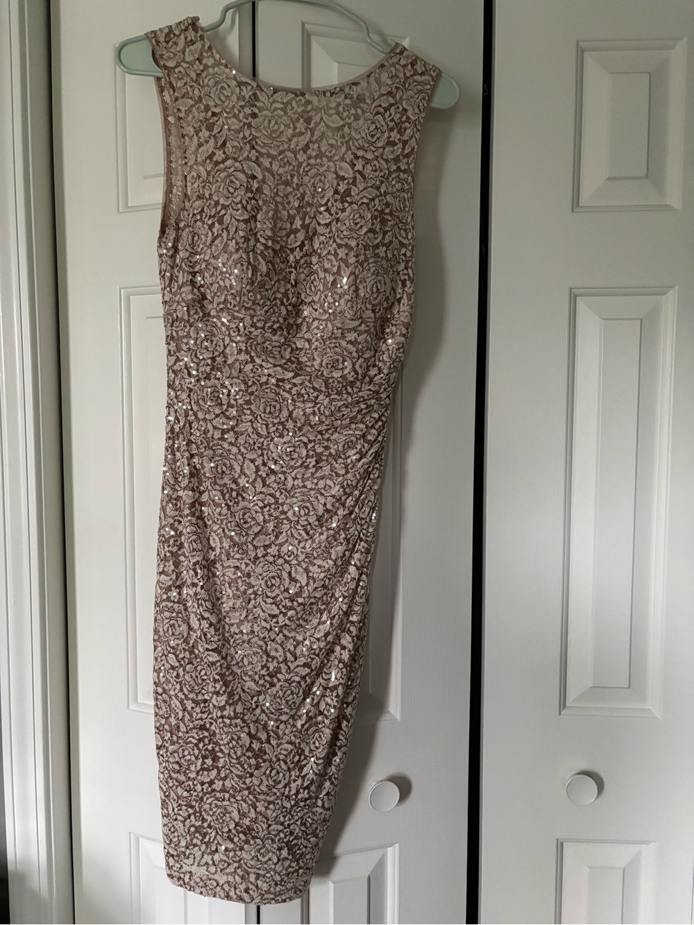 Sleeveless Rose-Pattern Sequin Sheath Dress in Blush